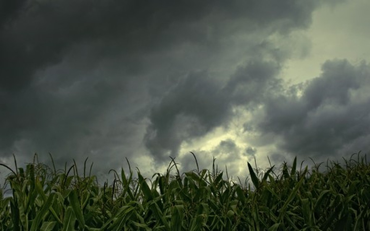 Mudan As Clim Ticas Podem Custar Do Pib Da Am Rica Latina Neste