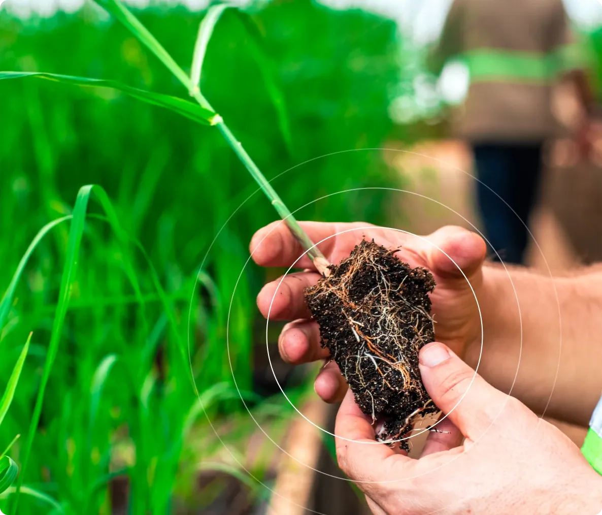 Conheça as melhores médias empresas para trabalhar no Agronegócio