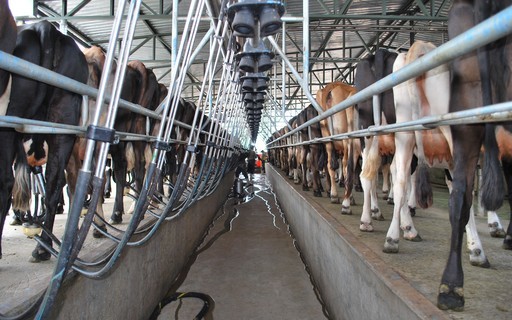 Captação de leite das maiores do setor cresceu 6,5%