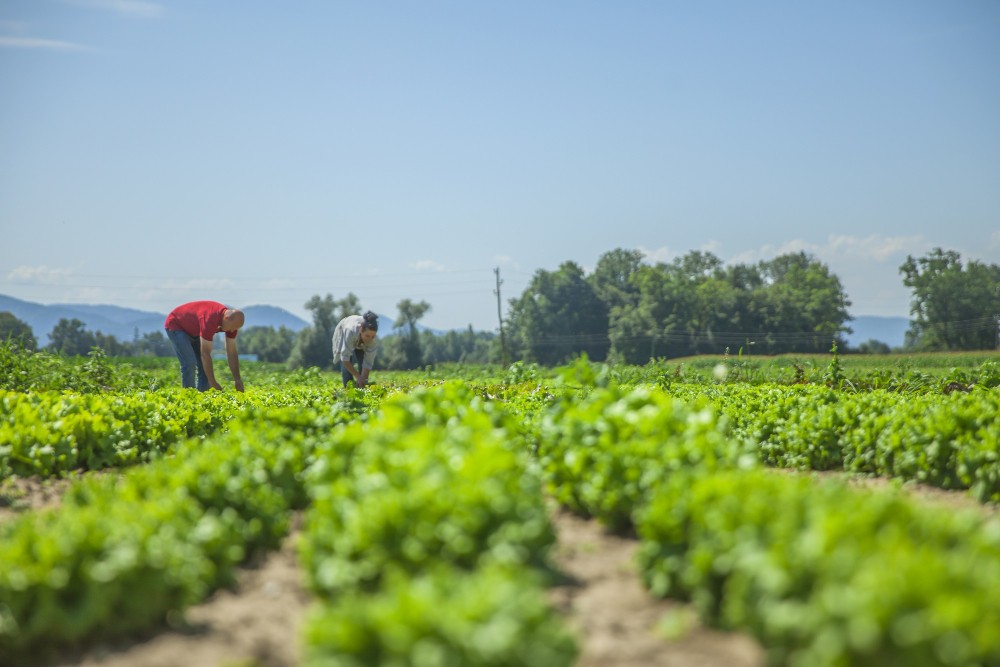 Agro alerta Lula sobre riscos para bioinsumos com burocracia da lei