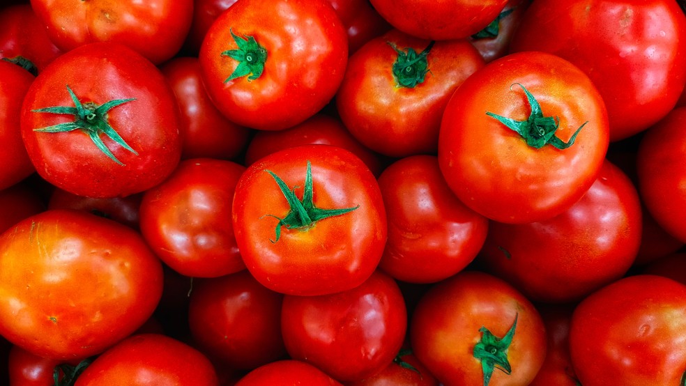 Tomate — Foto: Canva/ Creative Commoms