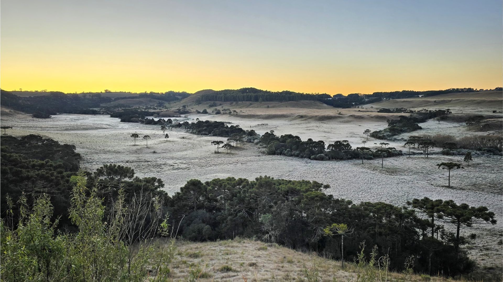 Frio ganha força e pode causar geadas amplas nesta terça-feira; veja a previsão