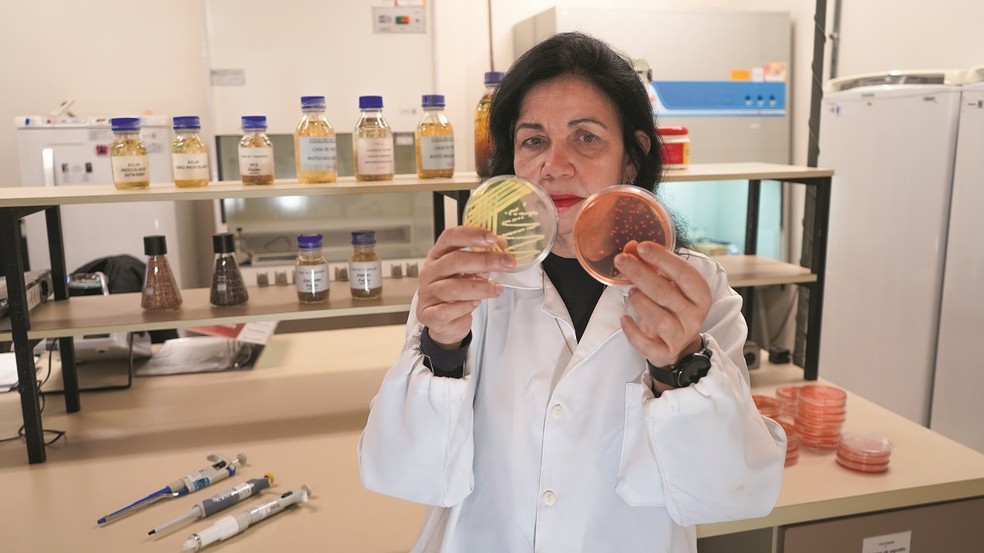Mariangela Hungria é a primeira mulher brasileira a receber o World Food Prize — Foto: Luciano Pascoal