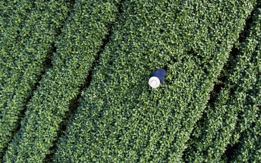 Moratória da Soja cria atritos no setor