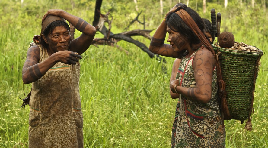 Cooperativa no sul do Pará agrega cerca de 4.000 indígenas do povo Mebengôkre (Kayapó)