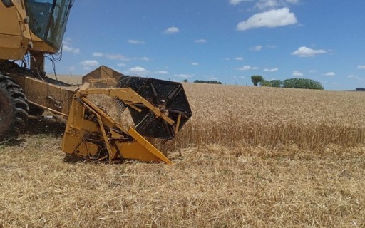 Corretora de seguros Alper lança plataforma específica para o agro