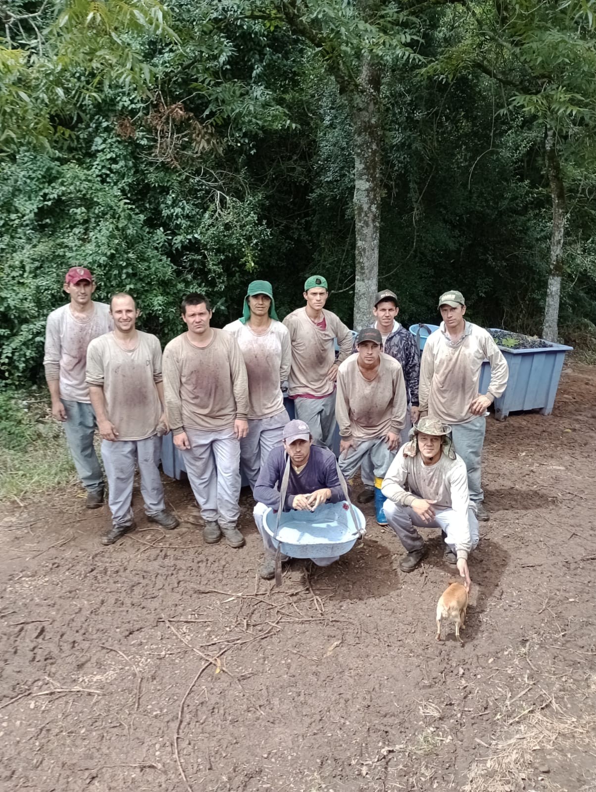 Entenda por que tantos argentinos estão vindo ao Brasil para trabalhar na colheita da uva