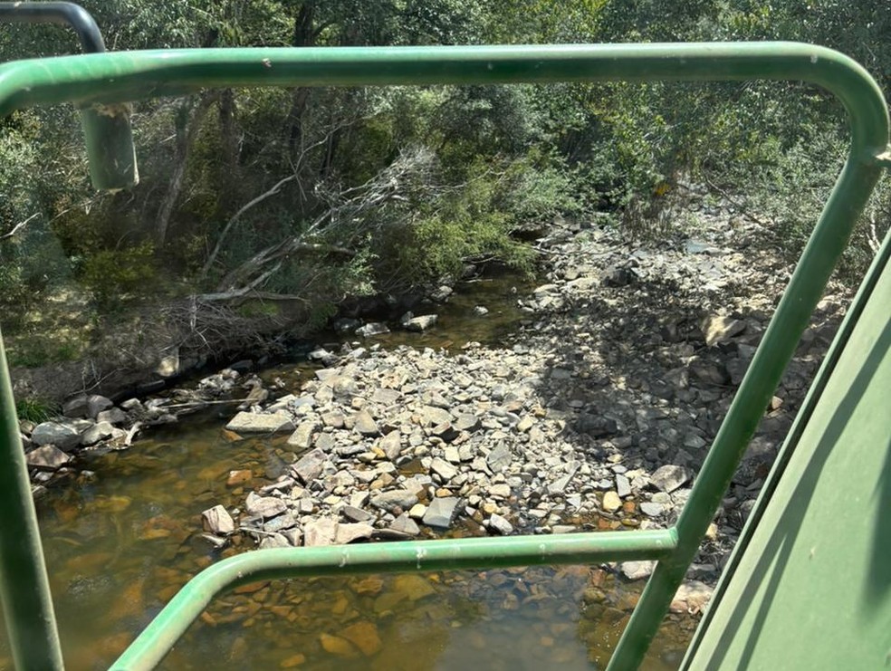 'Com a água secando, o gado está lambendo pedra', diz produtor gaúcho