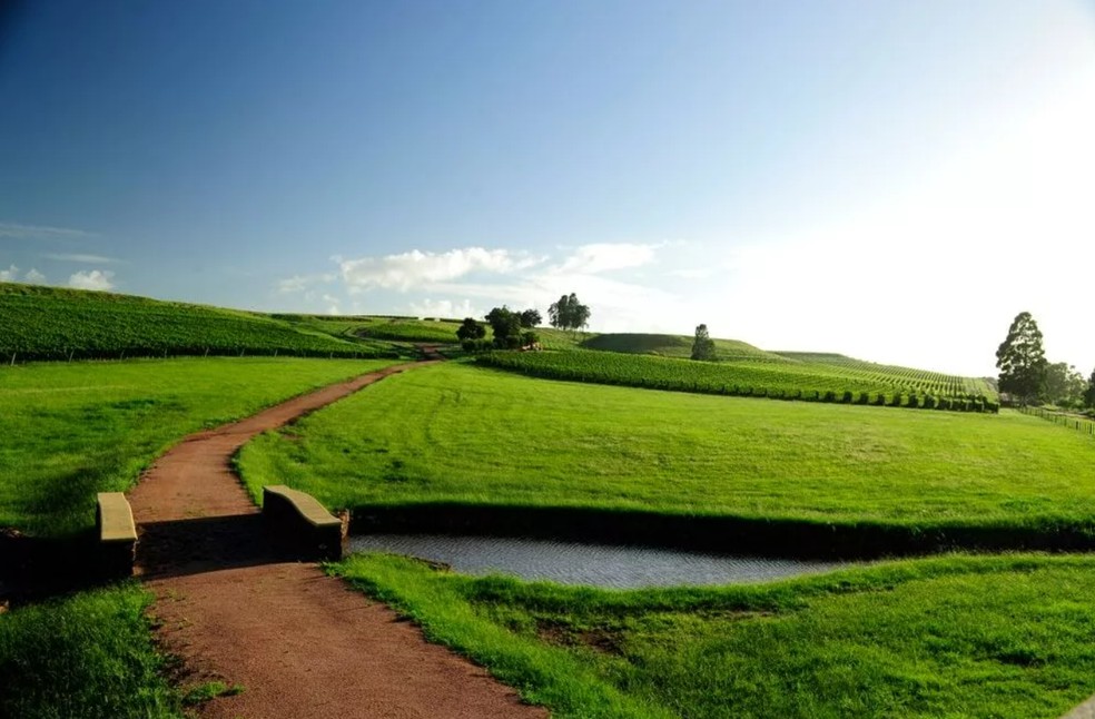 Fazenda de Galvão Bueno está localizada em Candiota, no Rio Grande do Sul — Foto: Bueno Wines/Divulgação