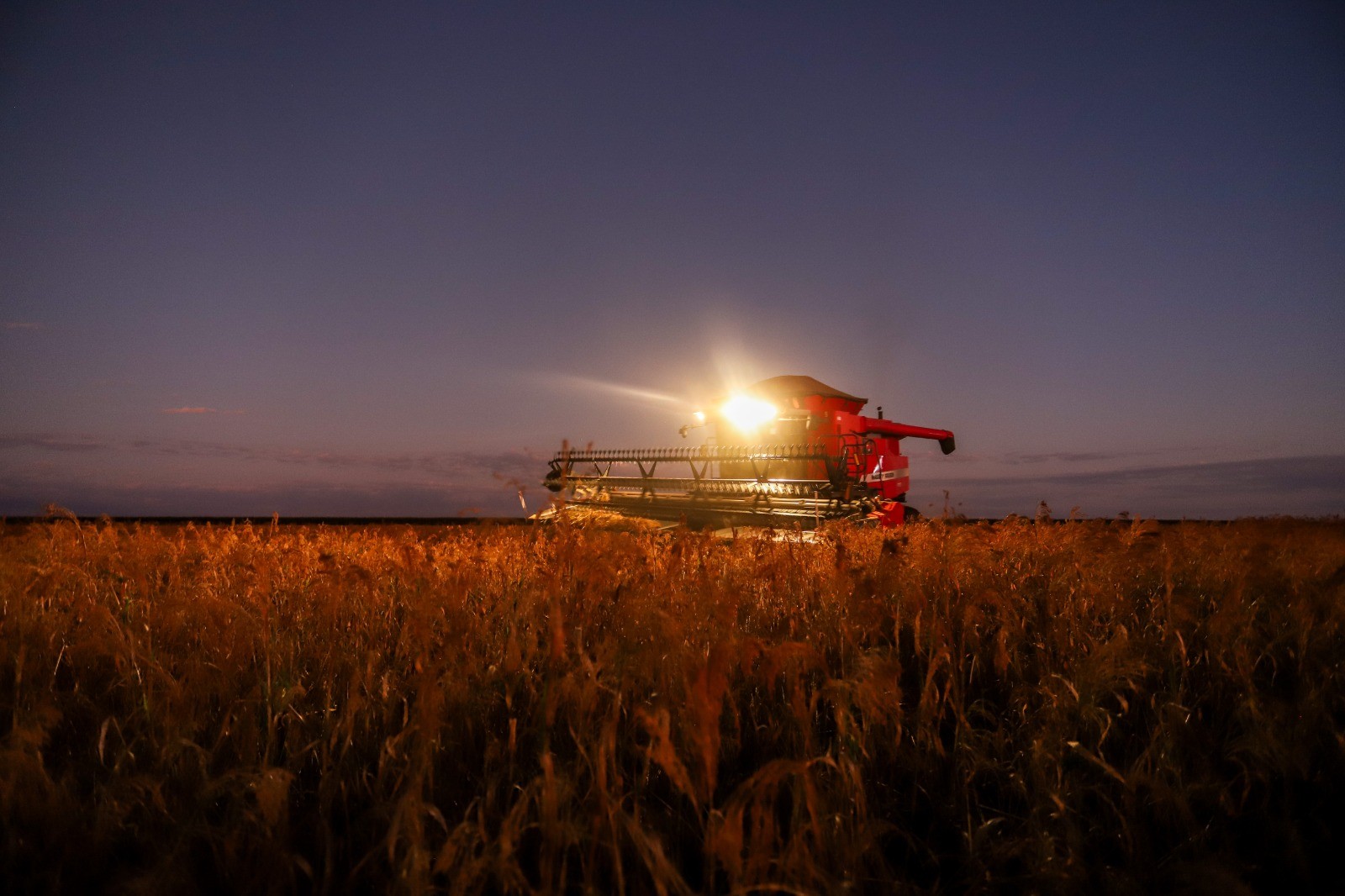 Falta de mão de obra preocupa agricultores mais do que custos, preços e clima, aponta estudo