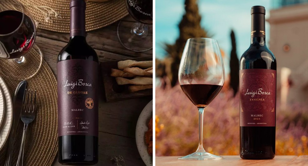 Luigi Bosca está localizada em Mendonza — Foto: Divulgação