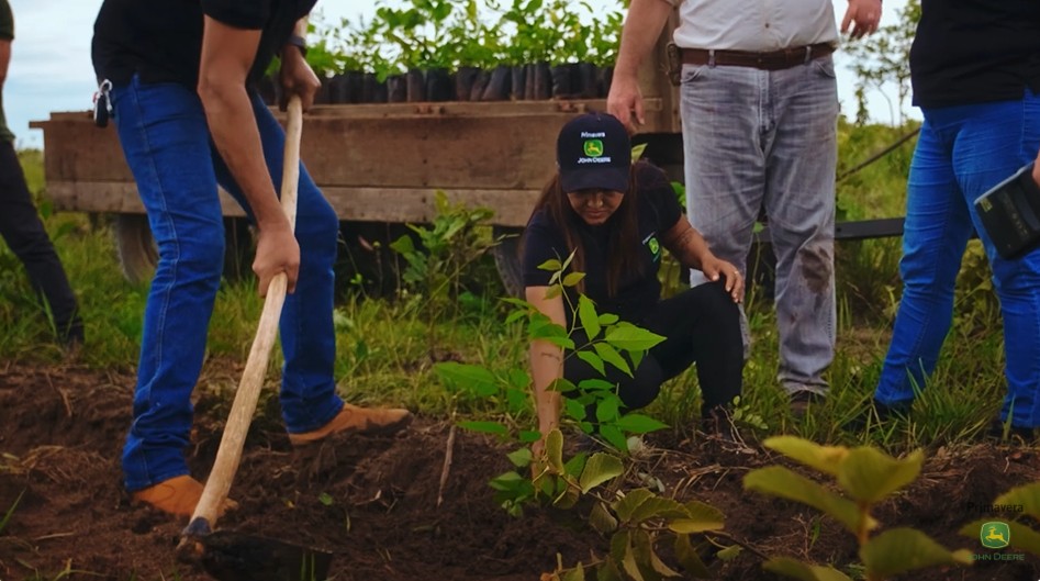 Projeto planta 234 mil mudas de árvores nativas em Mato Grosso