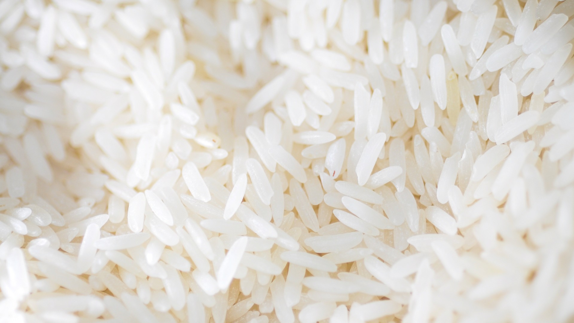Preços mundiais do arroz sobem em janeiro