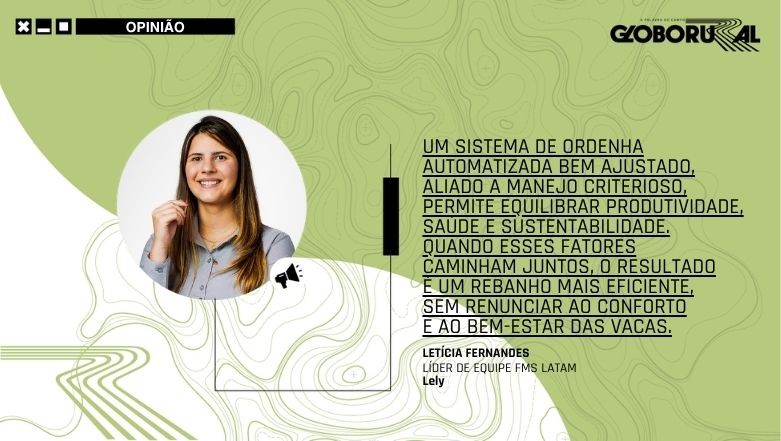 O segredo da ordenha robotizada está no caminho das vacas