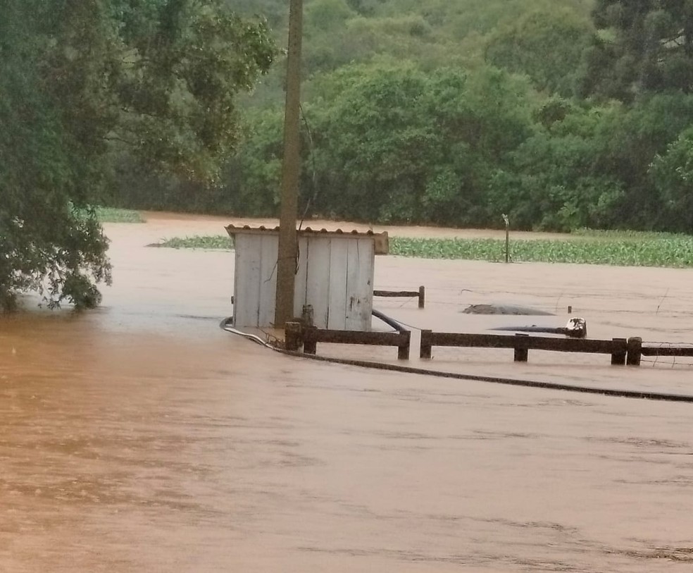 Prejuízo estimado no município é de aproximadamente R$ 2 milhões — Foto: Arquivo pessoal