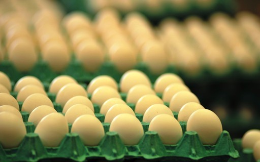 EUA investigam disparada do preço do ovo no país