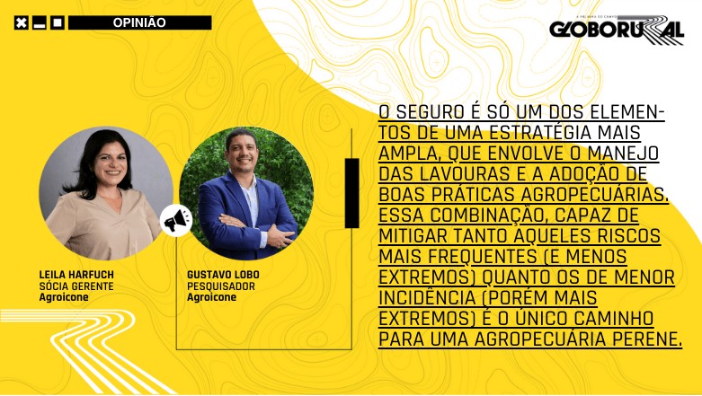 Seguro rural: proposta para garantir mais estabilidade da renda no campo avança