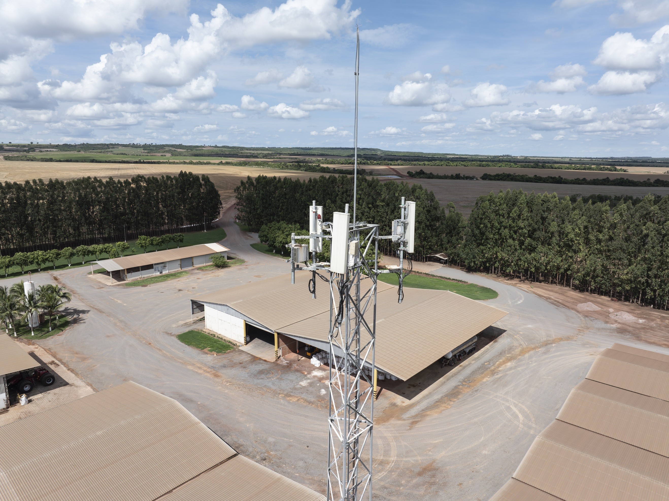 Fazenda-laboratório de agricultura digital colhe safra recorde de soja em Mato Grosso