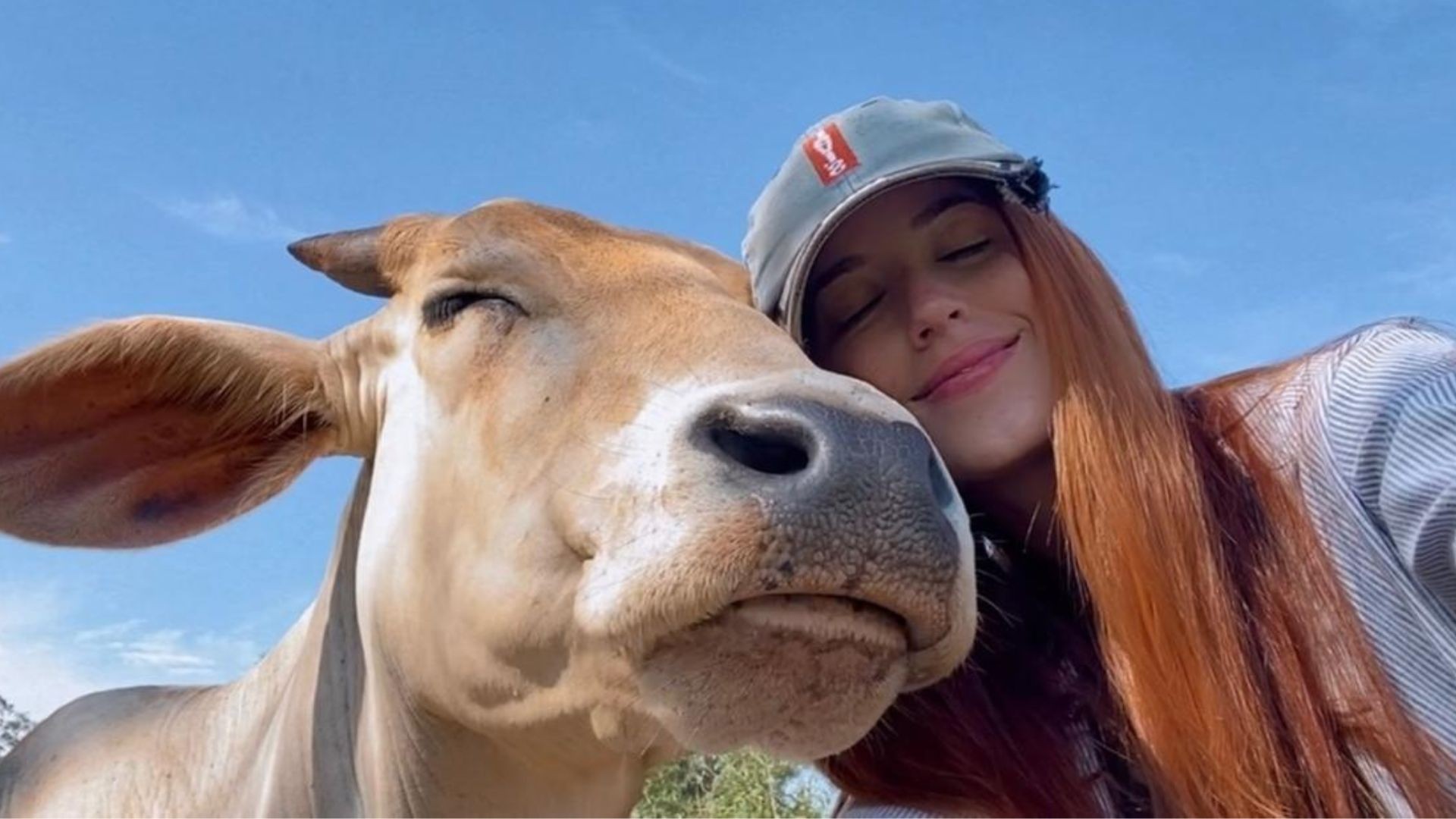 ‘Bovinos são mais carinhosos que gatos’, diz influenciadora que viralizou ao mostrar rotina com pets ‘extra GG’