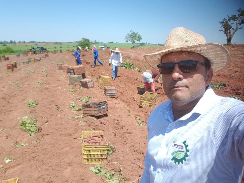 Luiz Rocha cultiva batata-doce em em Pirapozinho (SP) — Foto: Divulgação