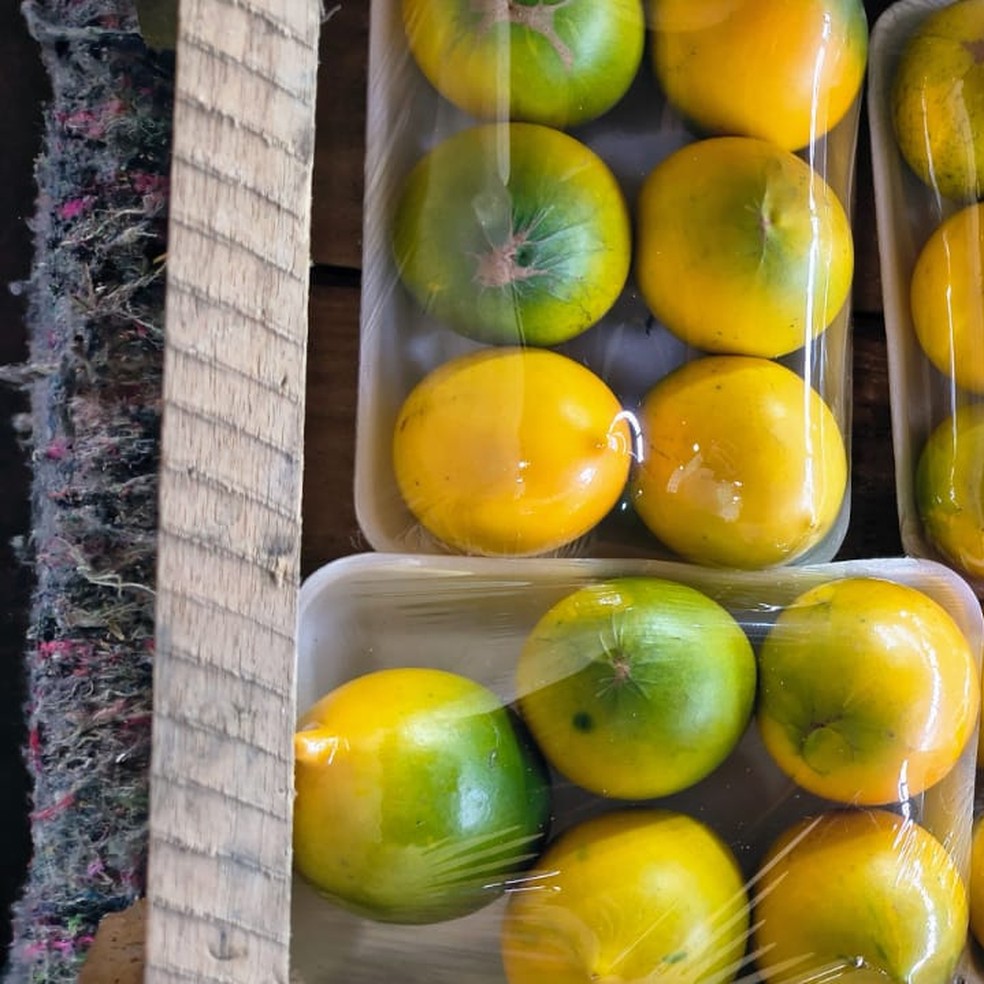 O abiu é rico em fibras, vitaminas A, C e complexo B, além de sais minerais, como fósforo, cálcio e ferro — Foto: Arquivo pessoal