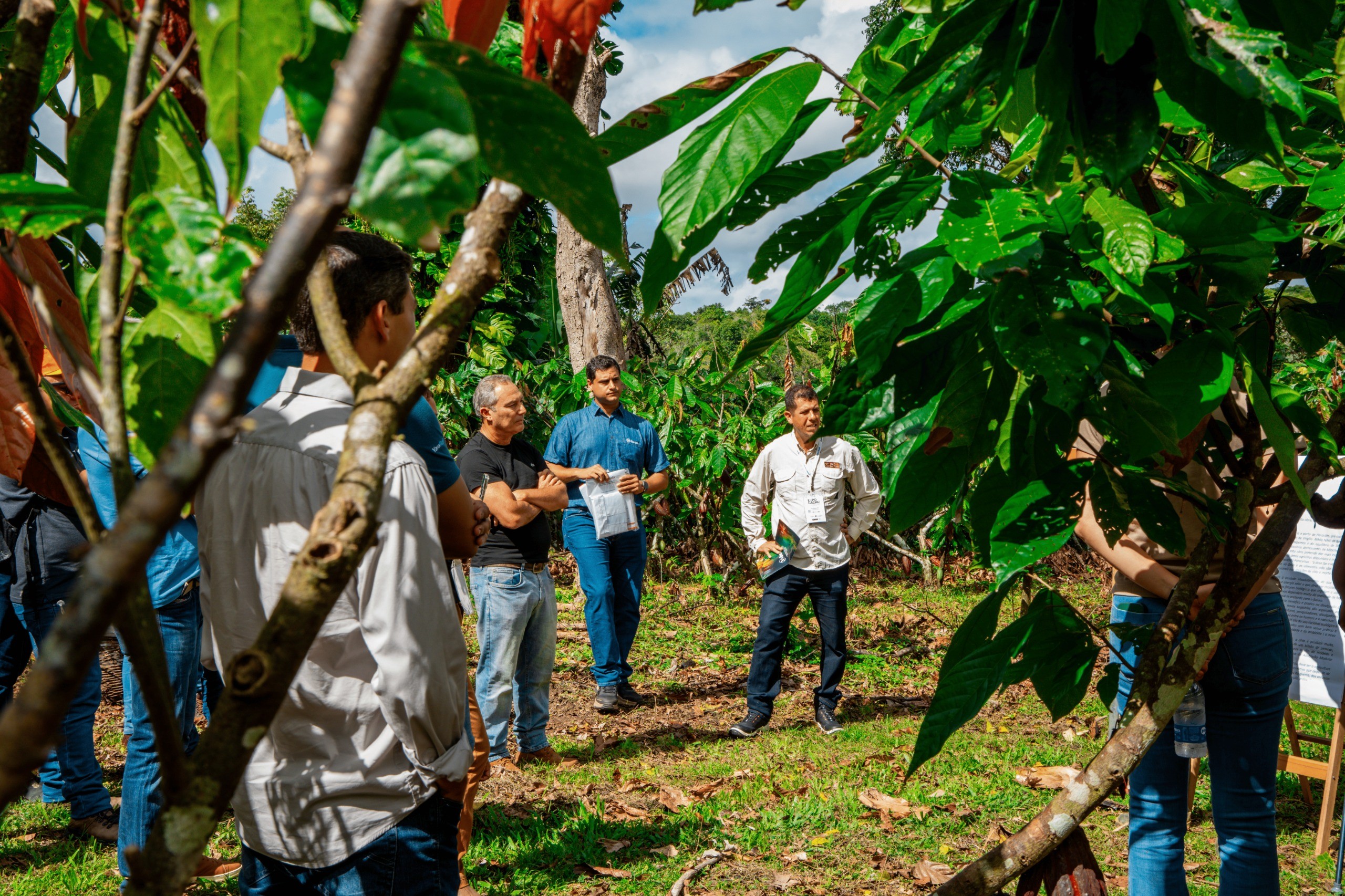Globo Rural embarca rumo a Ilhéus (BA) para cobertura especial da Expocacau - QTU Questões do Universo