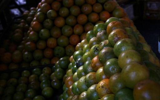 Clientes da Europa tentam baixar o preço do suco de laranja brasileiro
