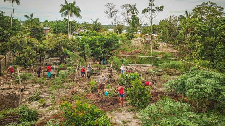 Propostas agroecológicas são lançadas aos candidatos nas eleições