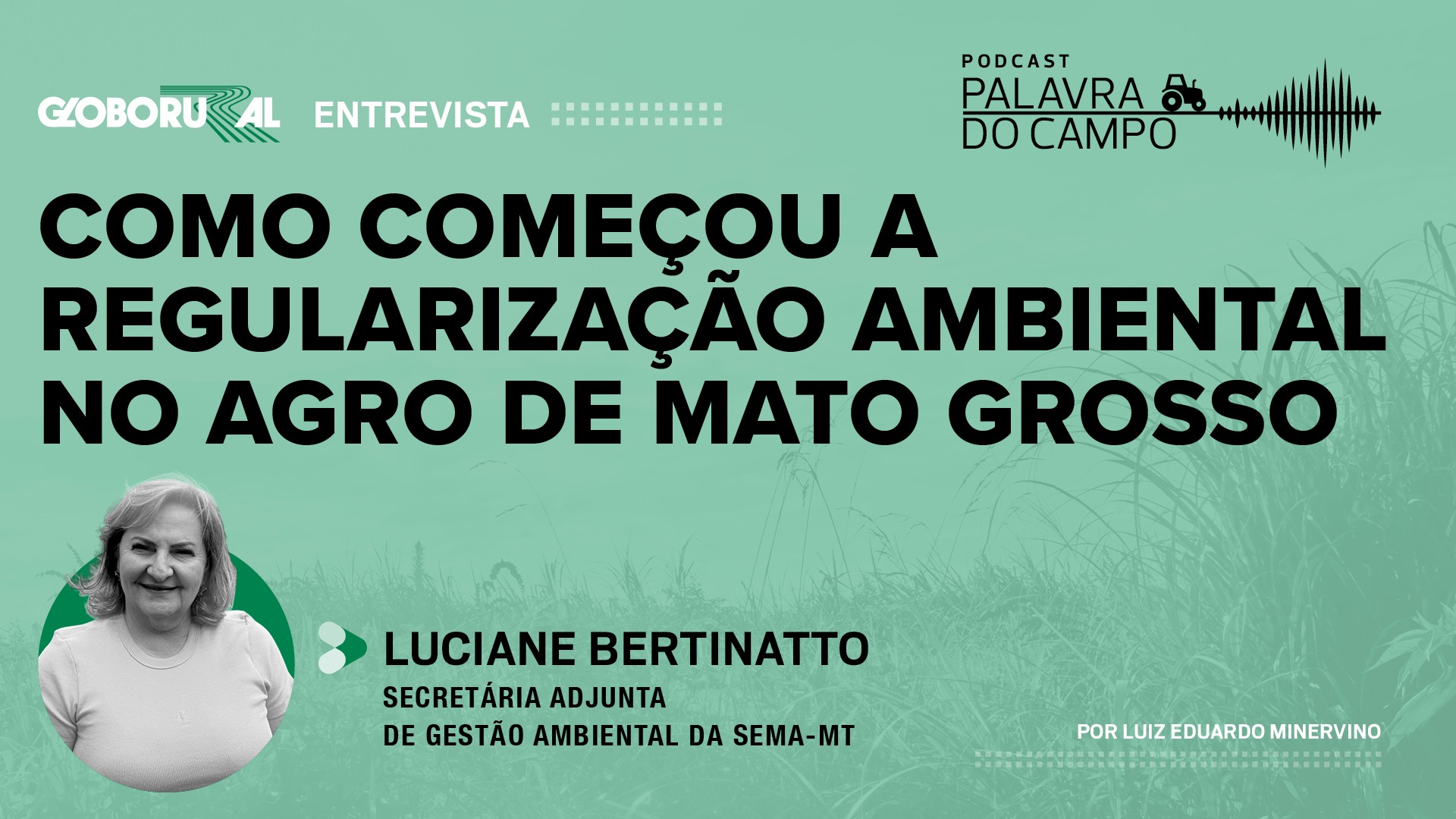 Os avanços e desafios da regularização ambiental em Mato Grosso