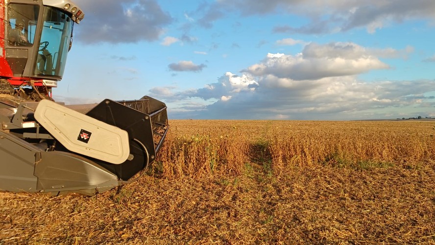 Lavoura de soja no Rio Grande do Sul. El Niño favorece a ocorrência de chuvas fortes no Sul e tempo mais seco no Centro-norte do país
