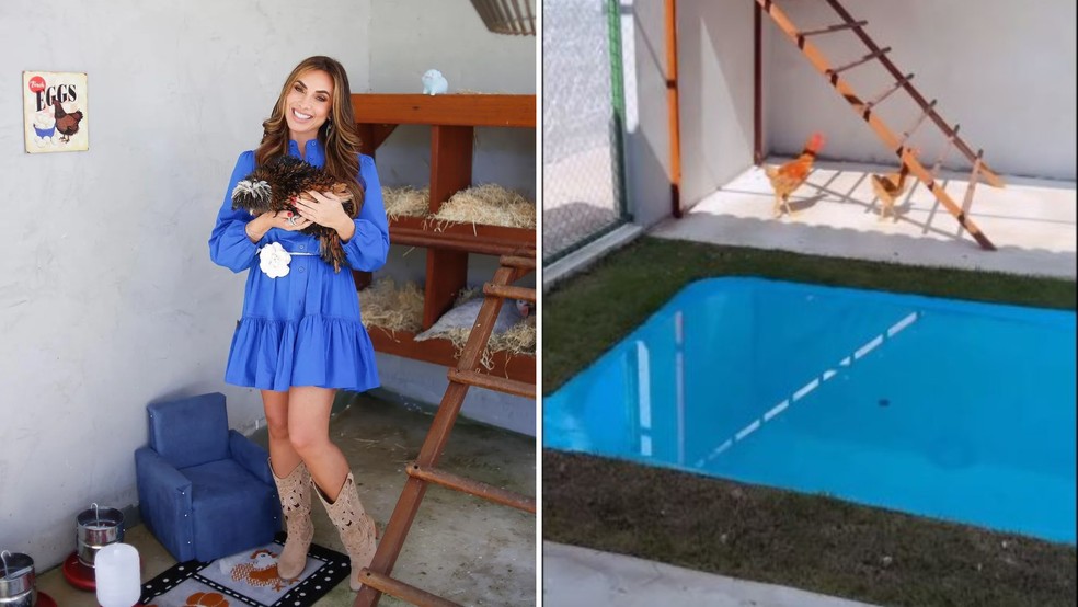 Nicole Bahls tem galinhas de estimação — Foto: Reprodução / Instagram