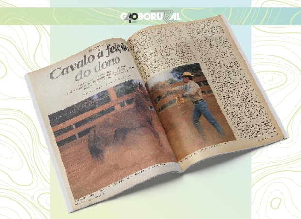 Doma racional: o professor no lugar do aluno