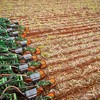 Insumos mais caros e preços de commodities baixos podem reduzir o potencial de retorno para os produtores - Wenderson Araujo/CNA