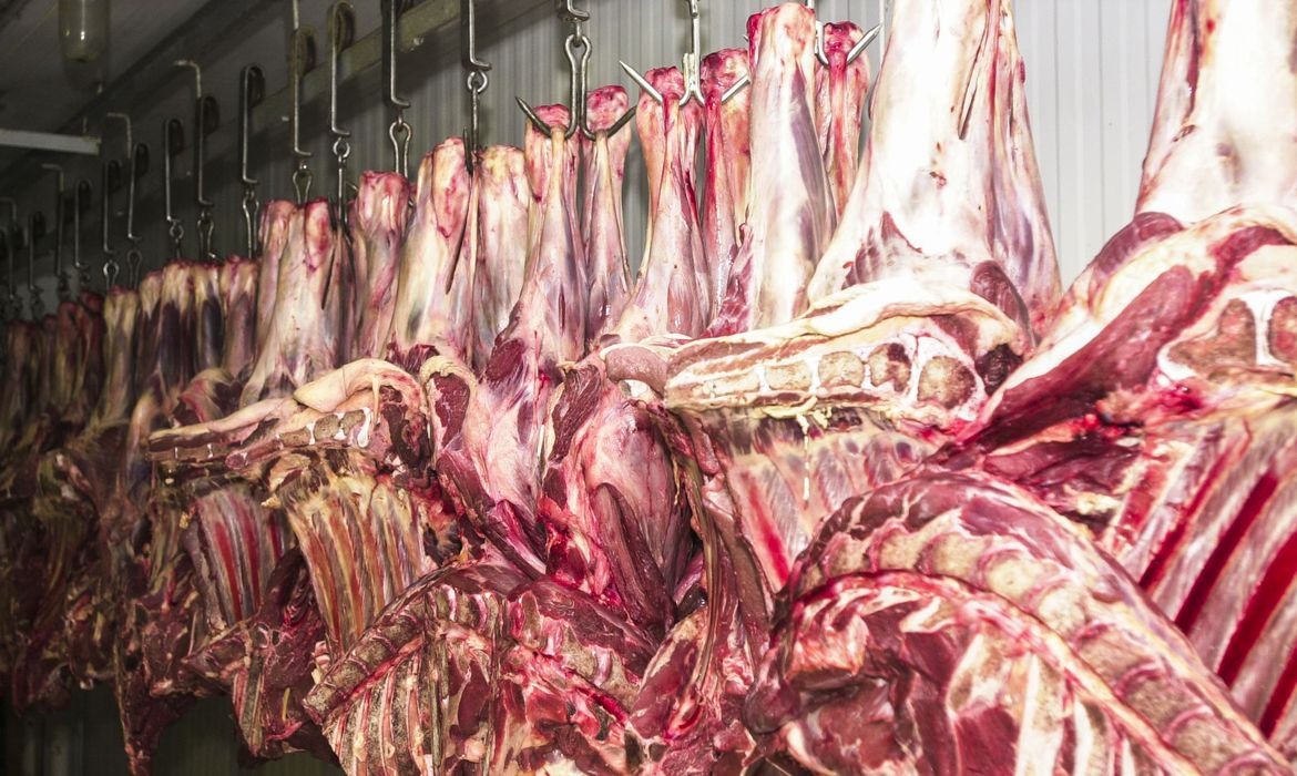 Carne suína: consumo e produção crescem, mas preços caem; ouça o comentário