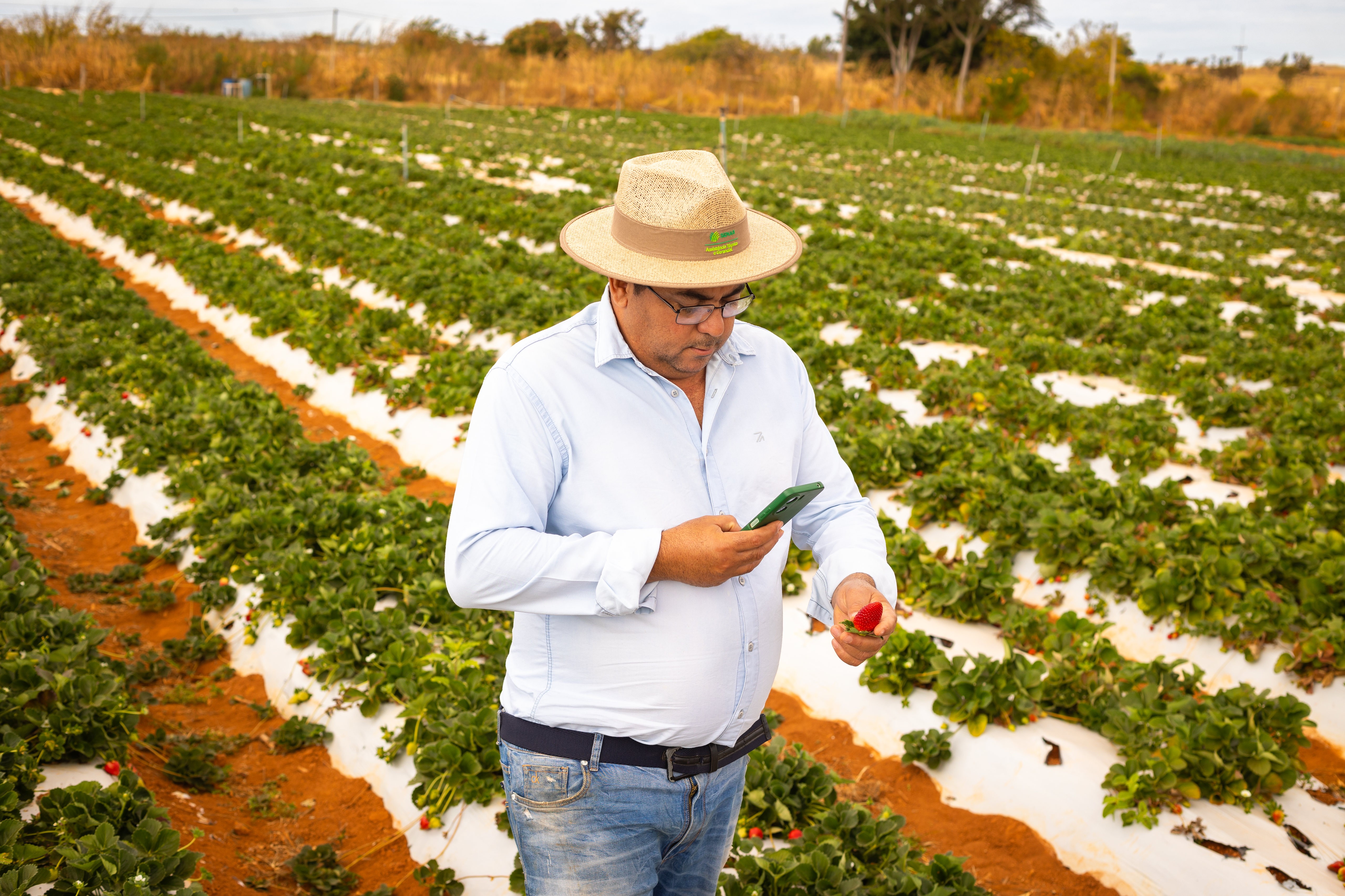 'Brasil terá papel central na expansão da conectividade rural'; ouça o comentário