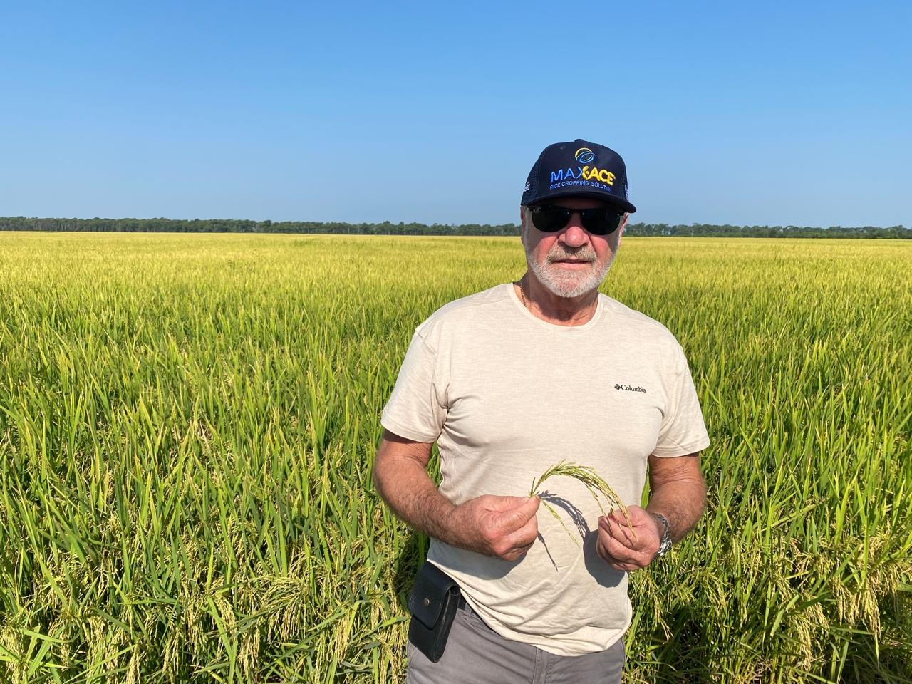 Produtor gaúcho se prepara para diminuir área de cultivo de arroz