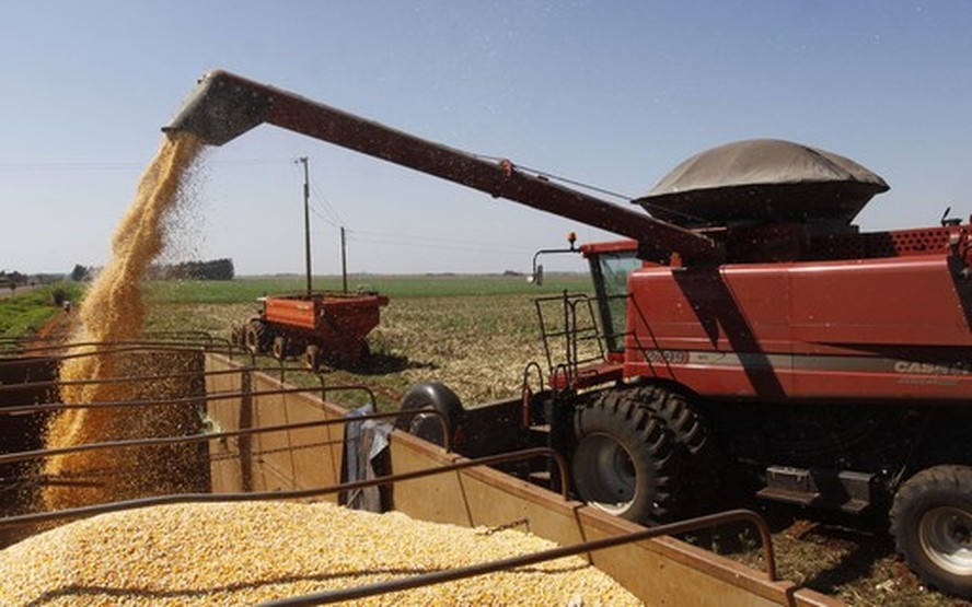 Exportação de milho do Brasil pode bater recorde pelo segundo mês consecutivo