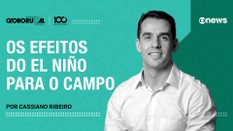 Os efeitos do fenômeno climático El Niño no campo
