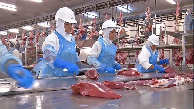 Preço da carne bovina bate novo recorde nos EUA