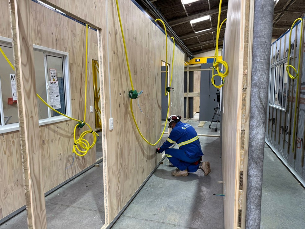 Os primeiros kits com CLT serão destinados à construção de 100 casas para atingidos pelas enchentes do Rio Grande do Sul — Foto: Divulgação