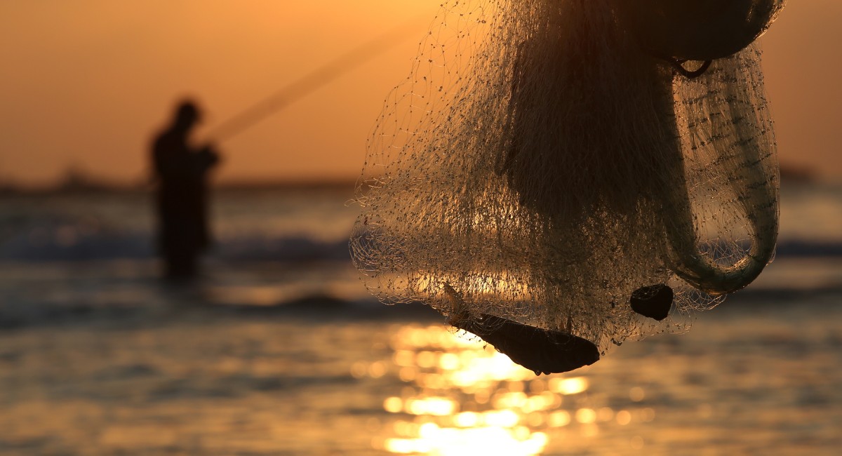 Período de defeso da piracema está em vigor até o final de fevereiro no Estado de São Paulo