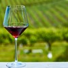  Em 2024, foram apreendidos 44 mil litros de vinho falsificado no Brasil - Canva/Creative Commons