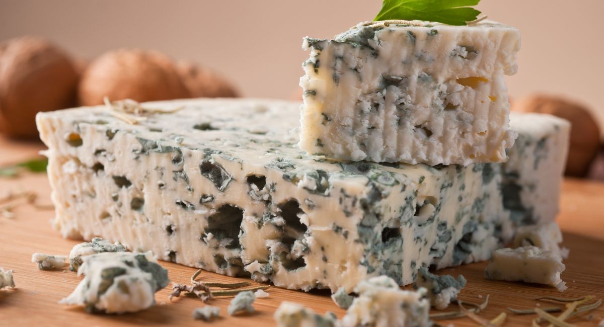 Queijo com mofo: qual pode ser consumido e qual estragou? Saiba mais