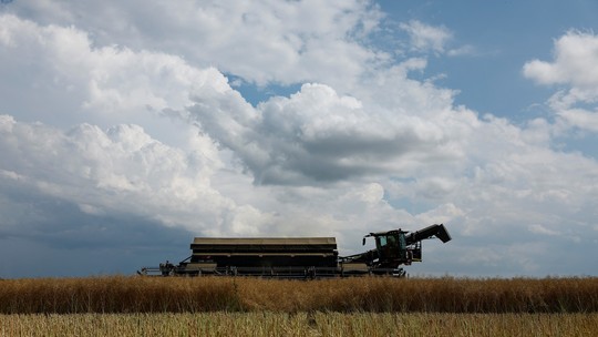 Exportação de grãos da Ucrânia cai 10% em setembro ante agosto