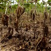 Entre 2021 e 2023, o RS foi o Estado que mais sofreu com o fenômeno climático - Vinny Vanoni/PMPA
