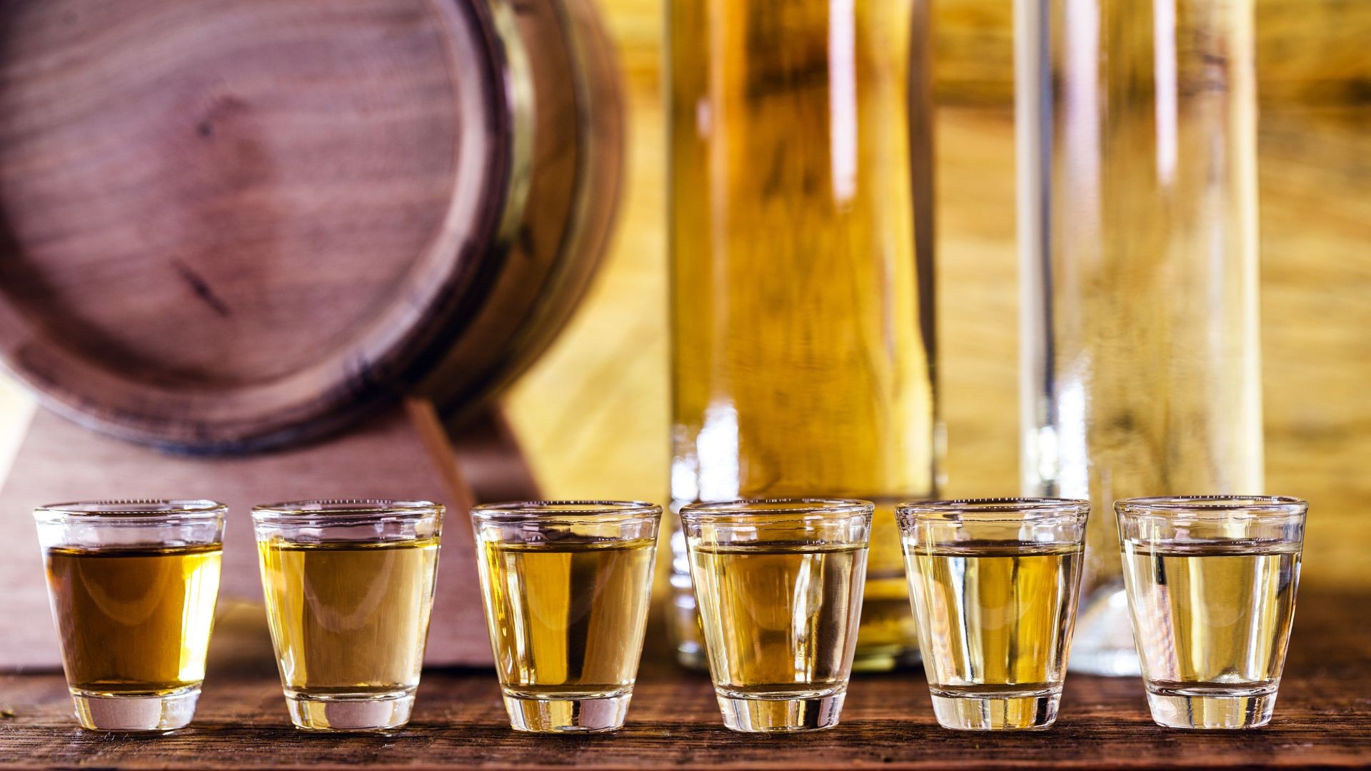 Expocachaça inicia hoje em Belo Horizonte - QTU Questões do Universo