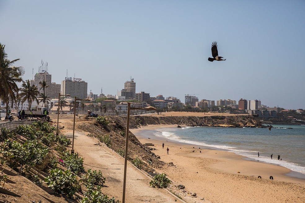 Senegal, com uma população de quase 17 milhões de habitantes, enfrenta diversos casos de Influenza Aviária — Foto: Vincent Tremeau/World Bank