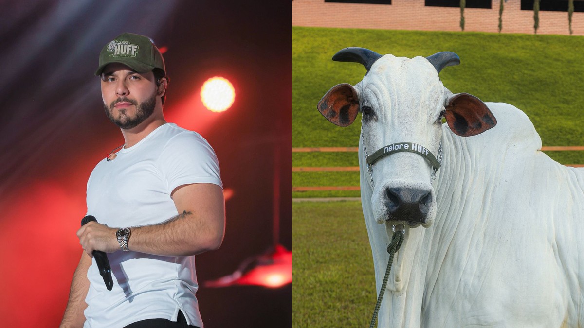 Murilo Huff compra vaca de R$ 17 milhões em leilão: 'Uma das mais ...