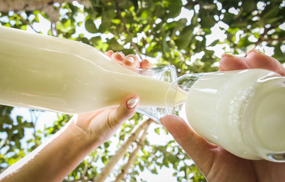 Preço do leite está mais barato para consumidor final — Foto: Wenderson Araújo/Trilux