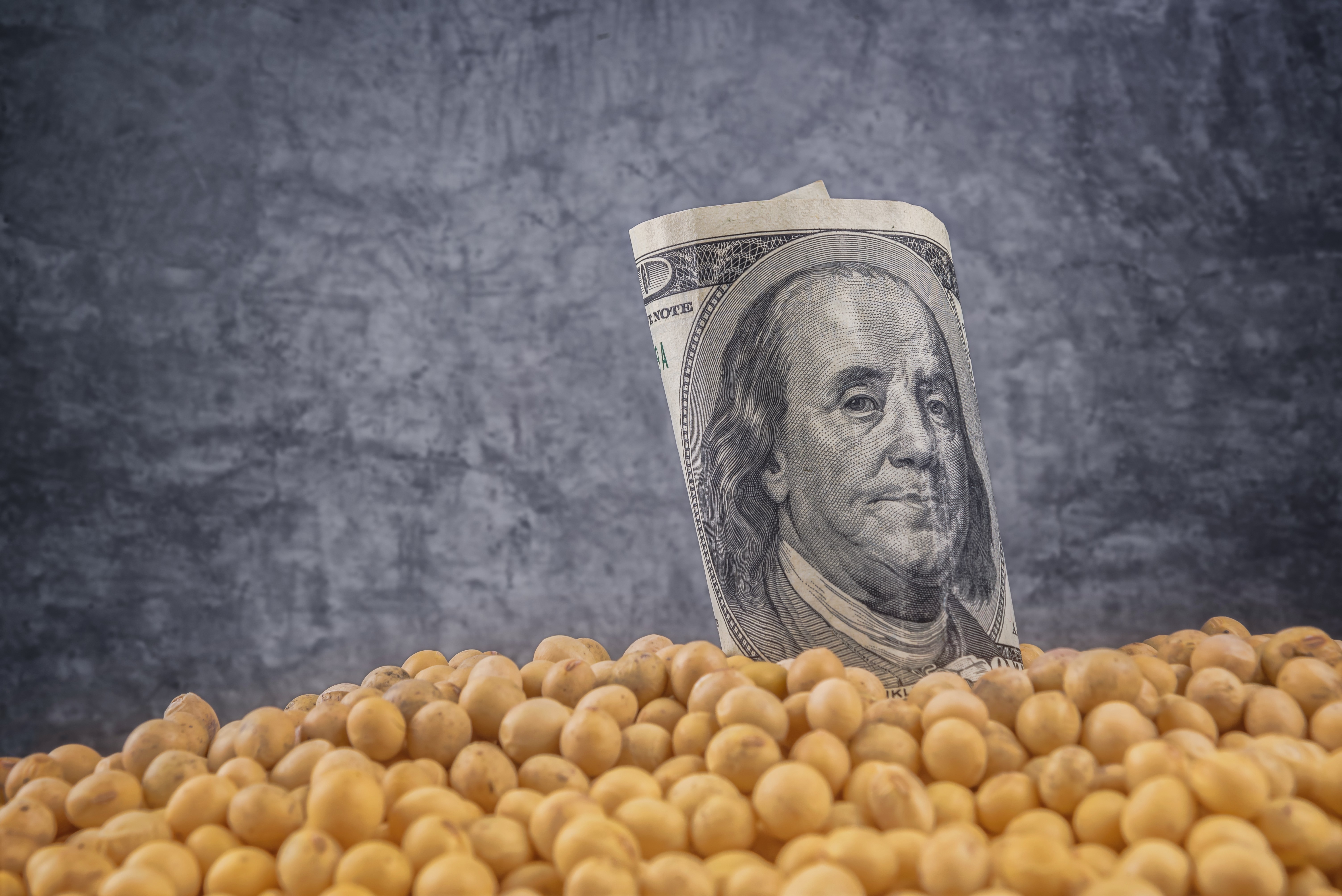 Soja fecha sem direção em Chicago, com investidores esperando acordo entre EUA e China